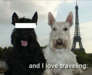 Puppy Love Or Fatal Attraction?